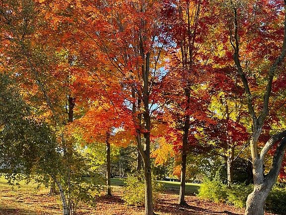 5th image of 5464 N Seymour Rd