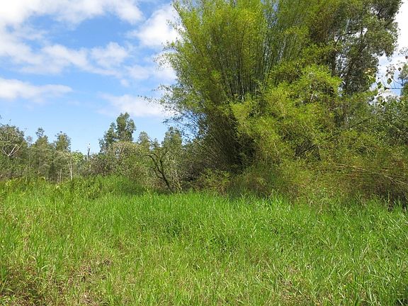 5th image of Mapuana St Lot 8
