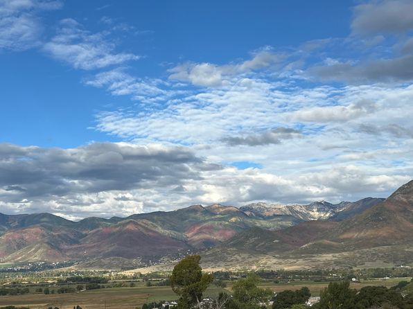 2573 N Wildflower Ln