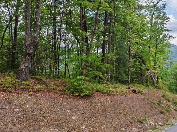 5th image of Lt 162 Lonesome Valley Road