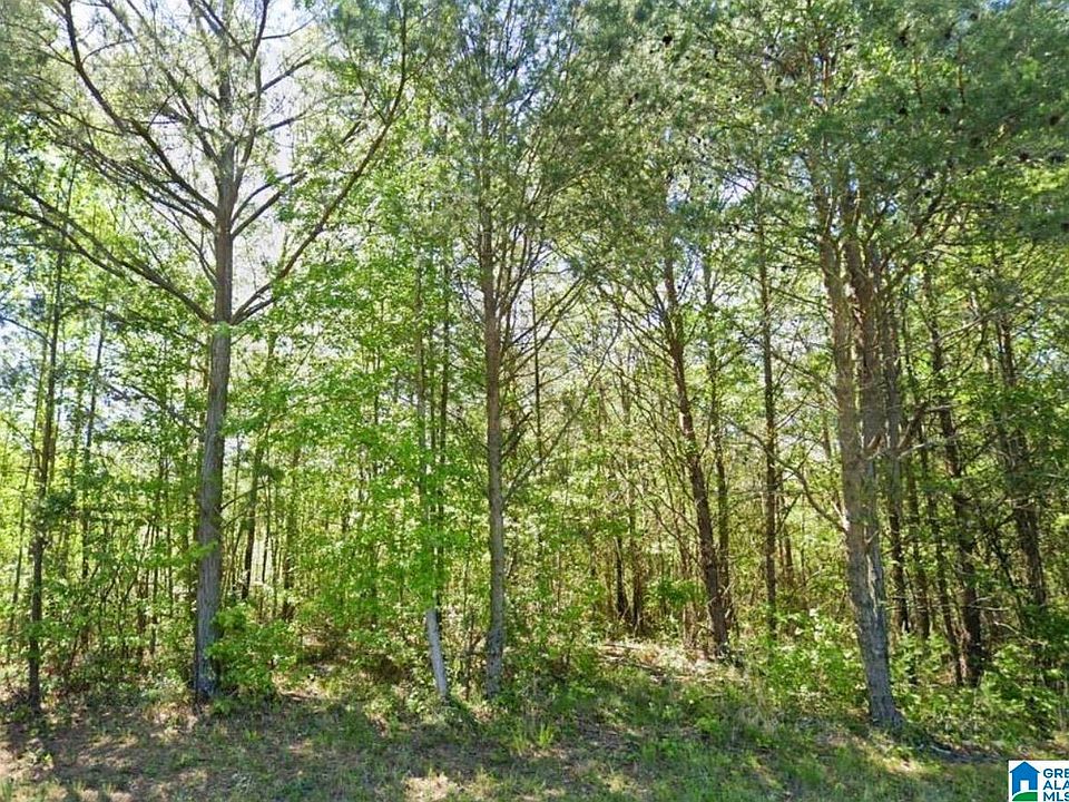2nd image of 0 Glovers Ferry Rd #1