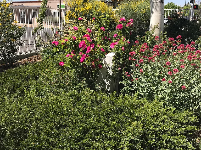 1201 Don Diego Ave — Photo 36