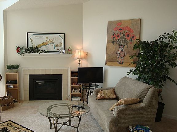 Living Room Gas Fireplace