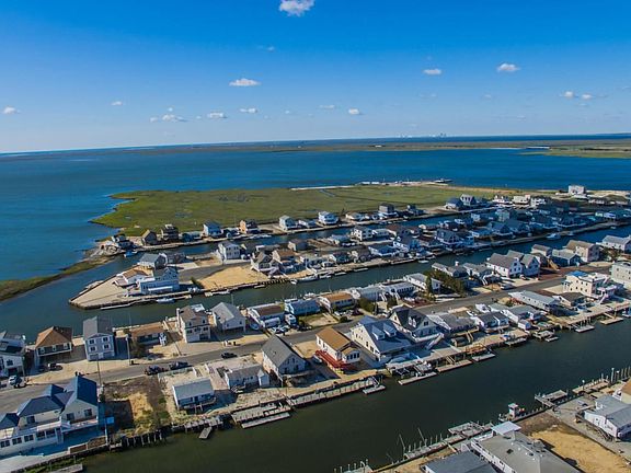 170Flamingo-0054