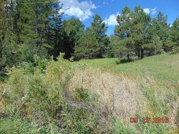 4th image of 17521 County Road 51 #0