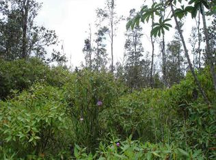 39th Ave LOT 12, Kurtistown, HI 96760