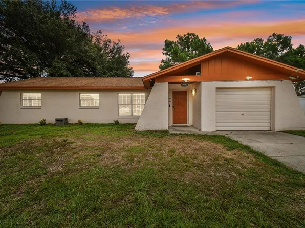 14109 Lonewood Pl, Tampa, FL 33625