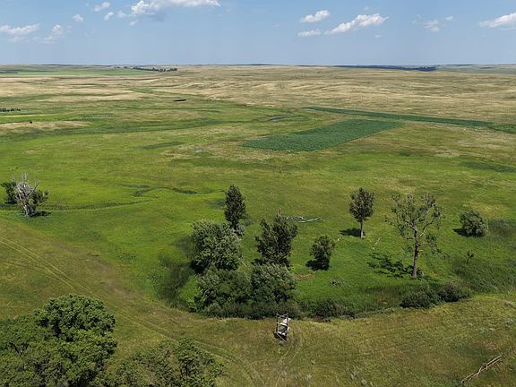 Dji Fly 20260716 141234 0364 1784742633125 Photo