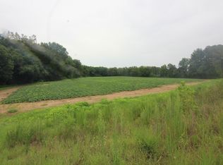 171 Bizzell Grove Church Rd, Selma, NC 27576