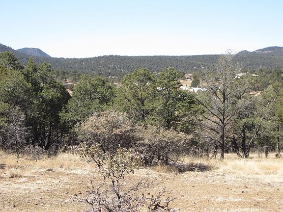 2nd image of Lot 65 Swan