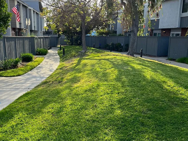 602 Lassen Ln #198 — Photo 4