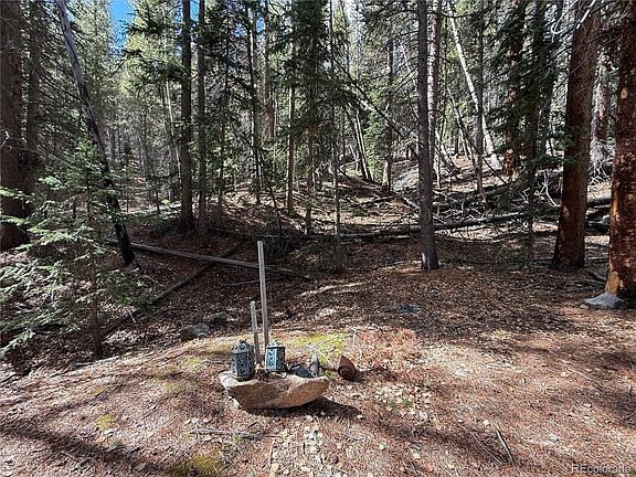 5th image of Ute Creek Rd