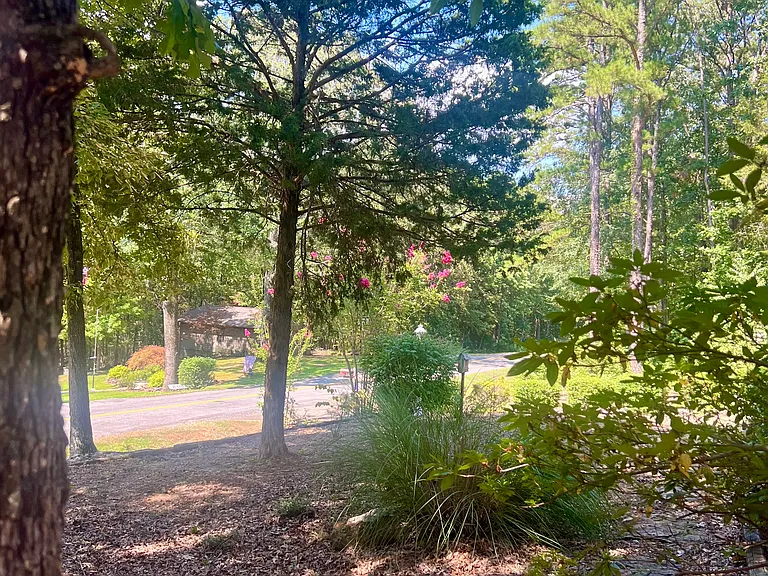 315 Mountain Ranch Dr — Photo 16
