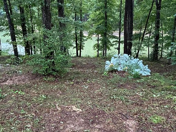 5th image of LOT 50 Shoreside Dr