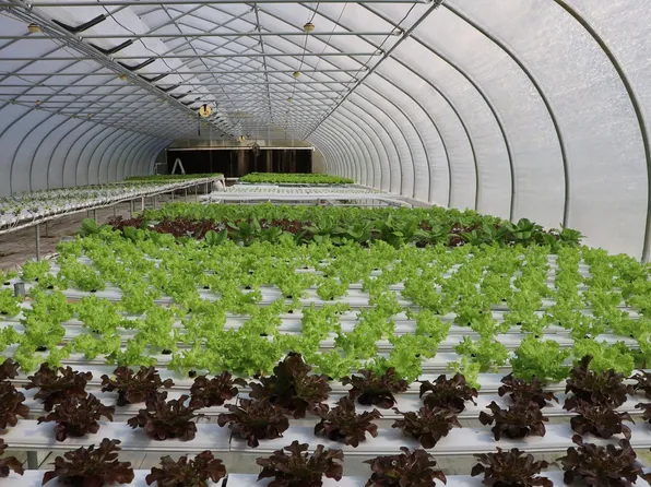 2588 Heavenly Dr, Marianna, FL 32448