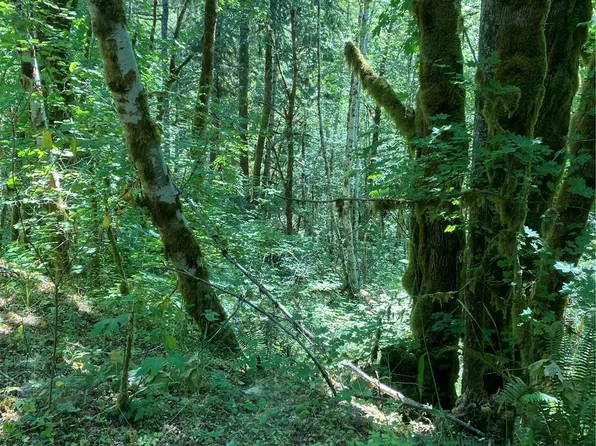 11 Non Assigned, Hoodsport, WA 98548