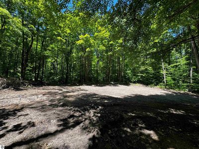 Kim Trl, Gaylord, MI, 49735