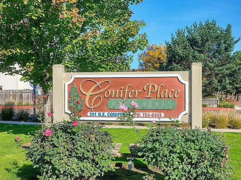 Conifer Place — Photo 30