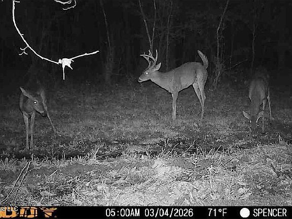 2nd image of Bogue Chitto Rd