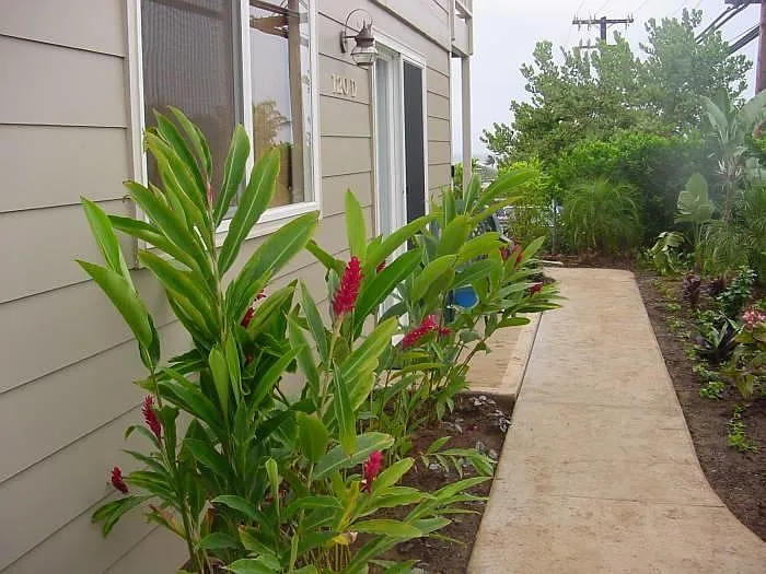 Entrance to cottage