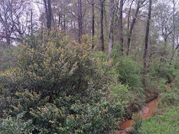 0 S Shipp St, Evergreen, AL 36401