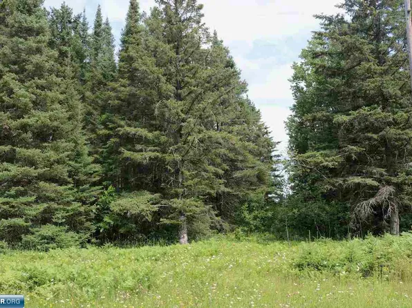 Chestnut Dr, Gilbert, MN 55741