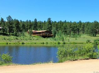 124 Prospectors Way, Bailey, CO 80421