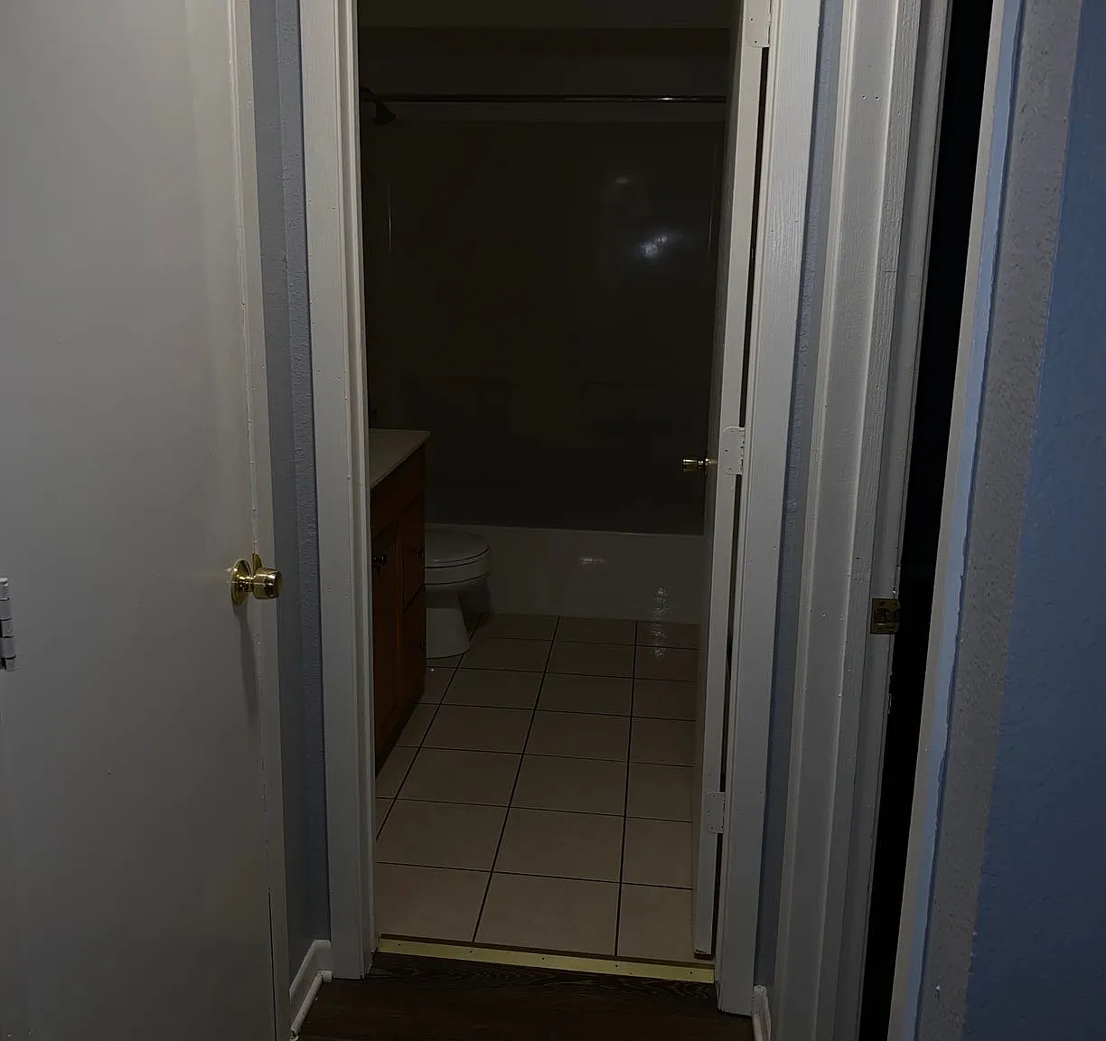 1 bed, 800 sqft, $1,150 — Photo 4