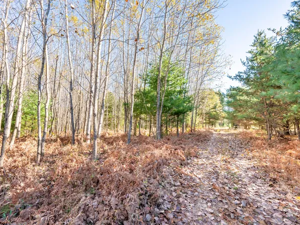 0 E 48th Rd, Cadillac, MI 49601