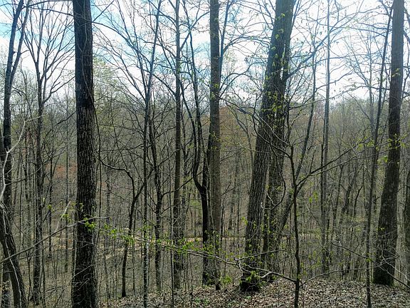 4th image of 0 Natchez Trace Pkwy