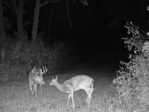 2nd image of Cty Road 115/ County Rd #115