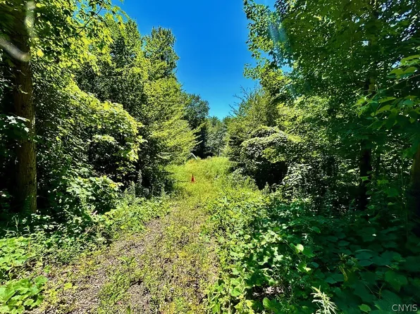 0 N Hillsborough Rd Lot 12, Camden, NY 13316