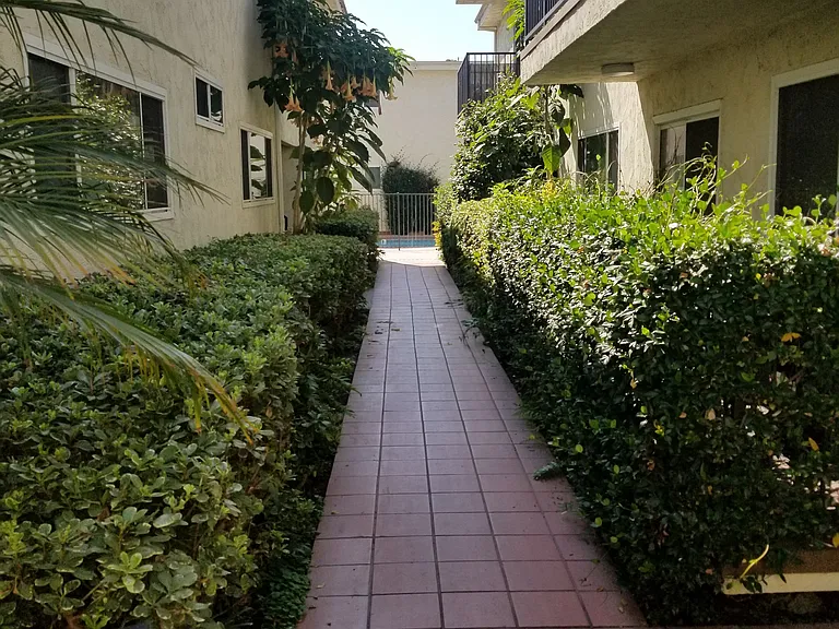 Palmera Apartments — Photo 1