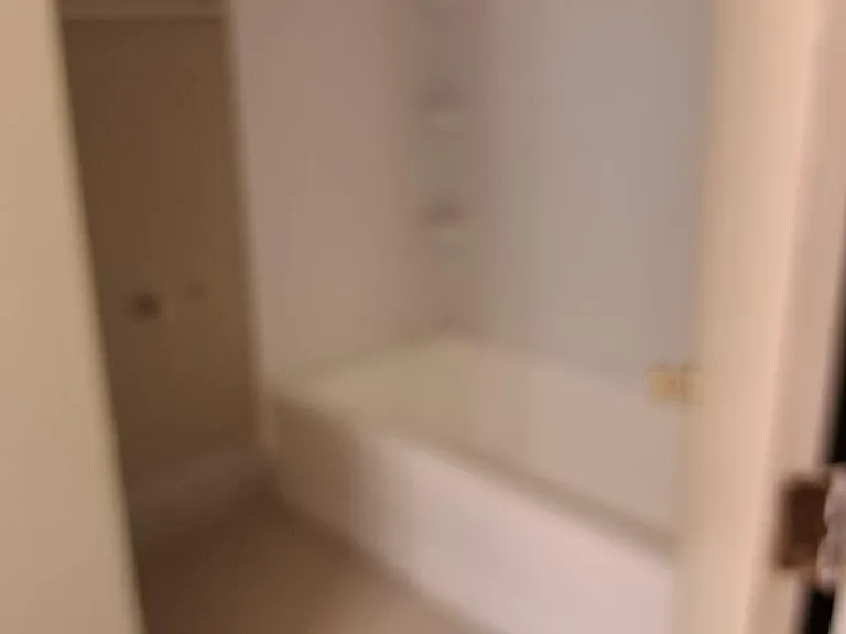 Hall Bathroom