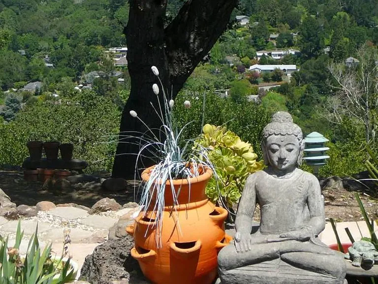 Garden Area