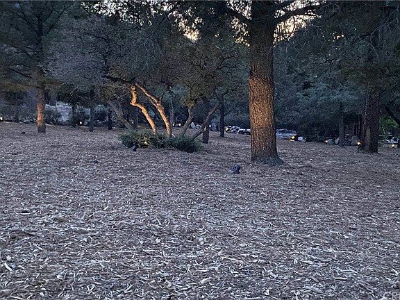 4th image of 2049 Linden Dr