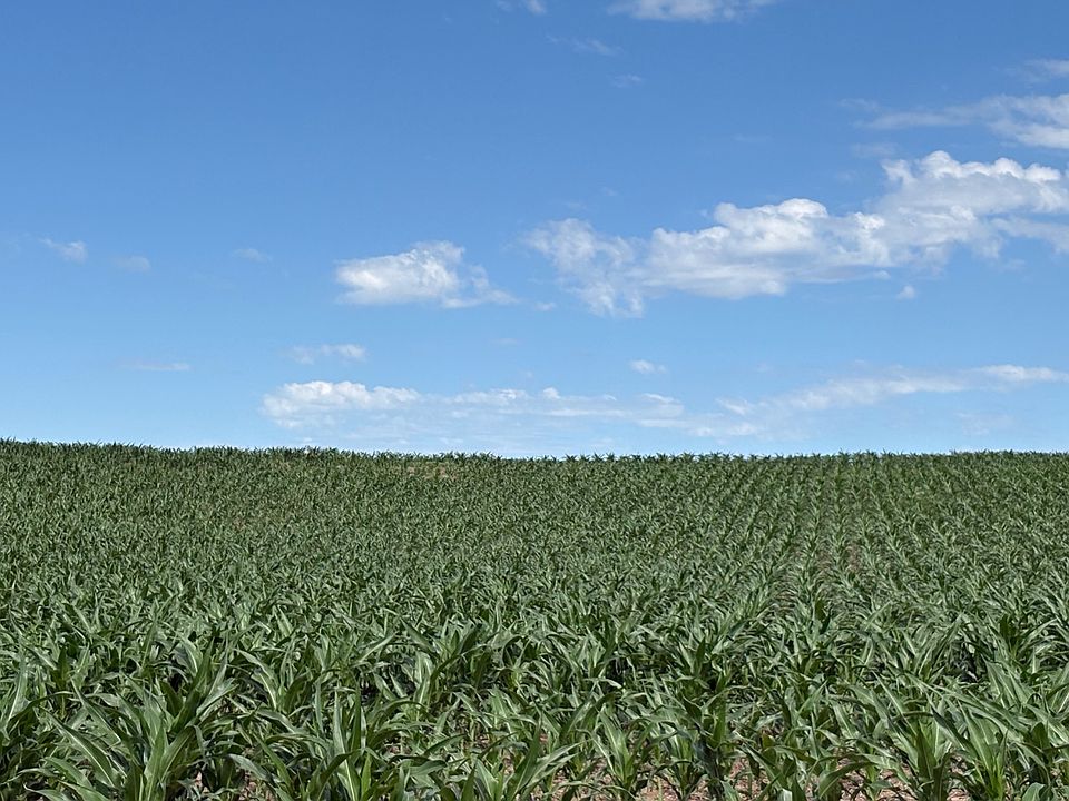 1st image of 598 Highway 14