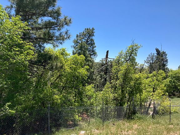 View of Back Yard, Canyon Trail runs along the canyon rim beyond the back fence, right behind the house.