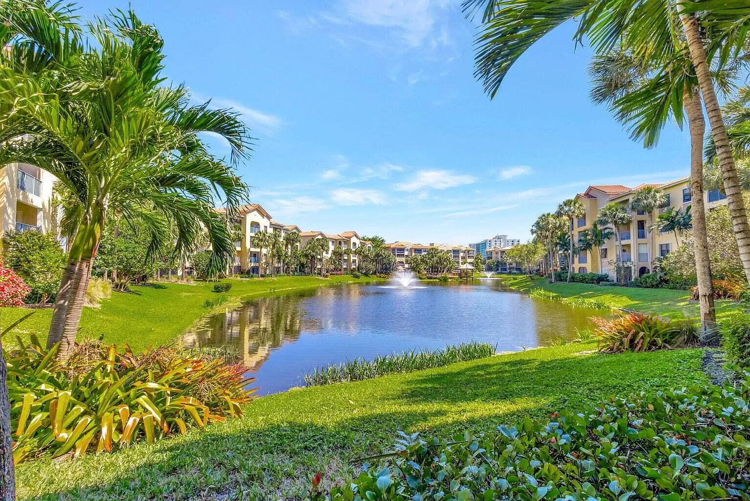 3 bed, 2.0 bath, 1446 sqft, $3,000 — Photo 2