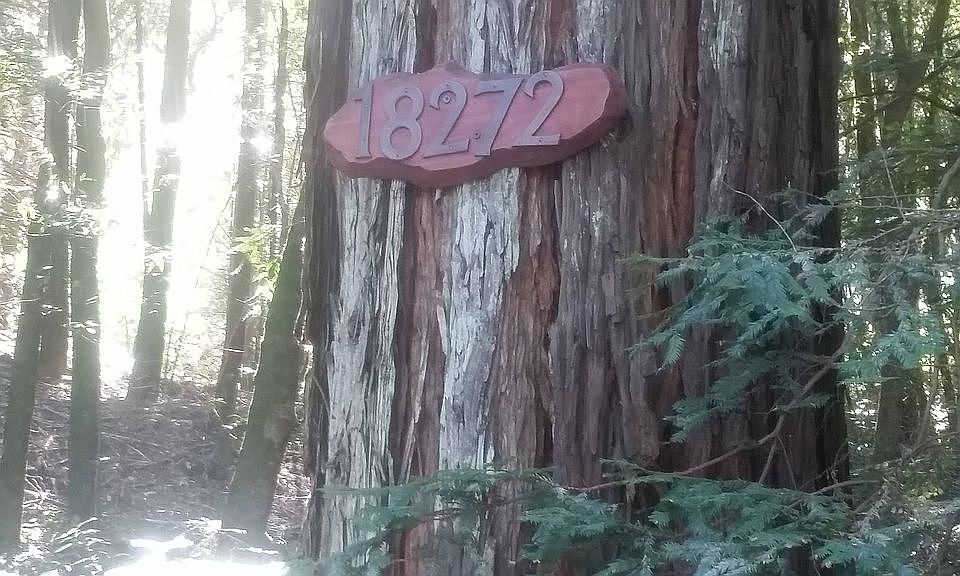 1st image of 18272 Highway 116
