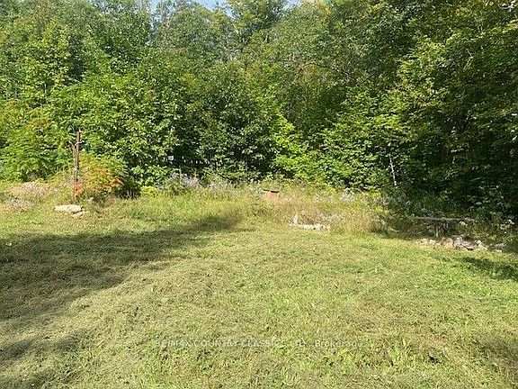 5th image of 132 Trout Lake Rd