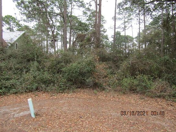 2nd image of 108 Laughing Gull Ln