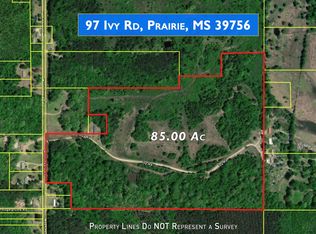 97 Ivy Rd, Prairie, MS 39756