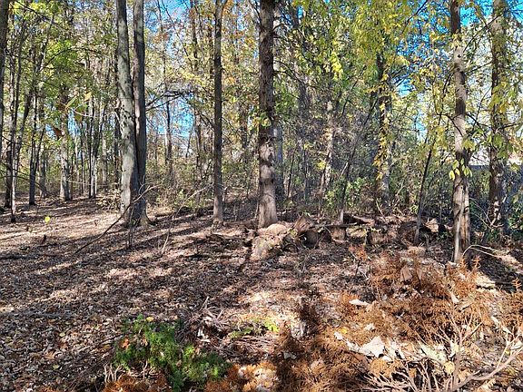 4th image of 0 N Cotton Rd