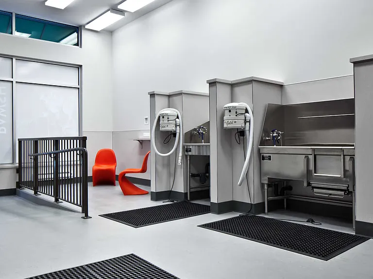 Pet Grooming Area