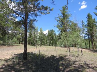 43 Harness Trl, Florissant, CO 80816