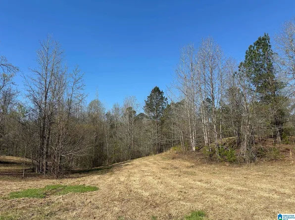 1896 Highway 45 #Na, Sterrett, AL 35147