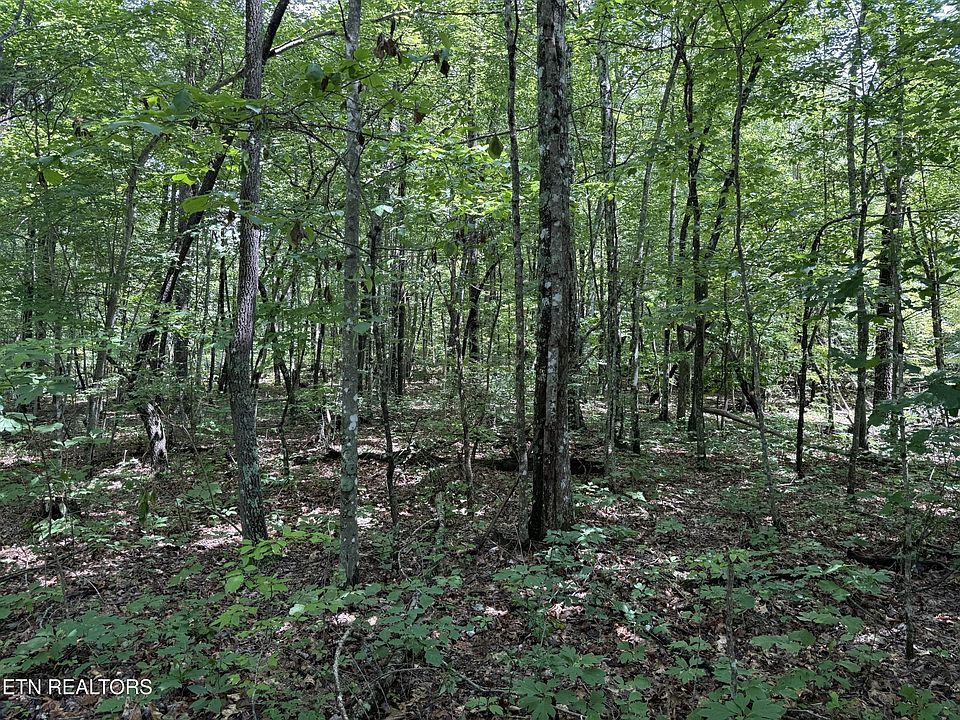 2nd image of 0 Icy Cove Trl Lot 25
