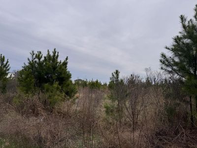 12 Cedar Grove Dr, Painter, VA, 23420