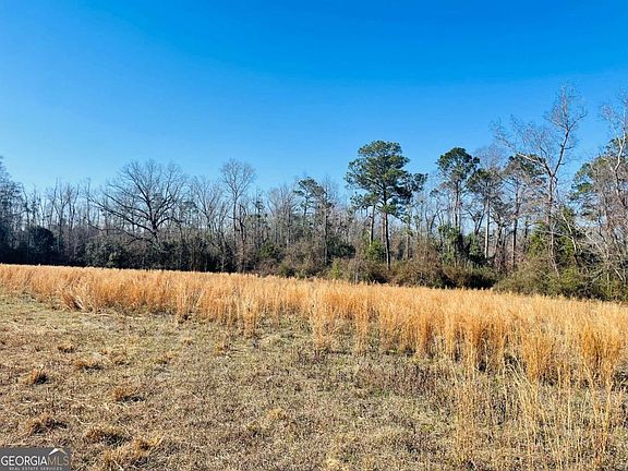 2nd image of 1659AC Rosemont Rd